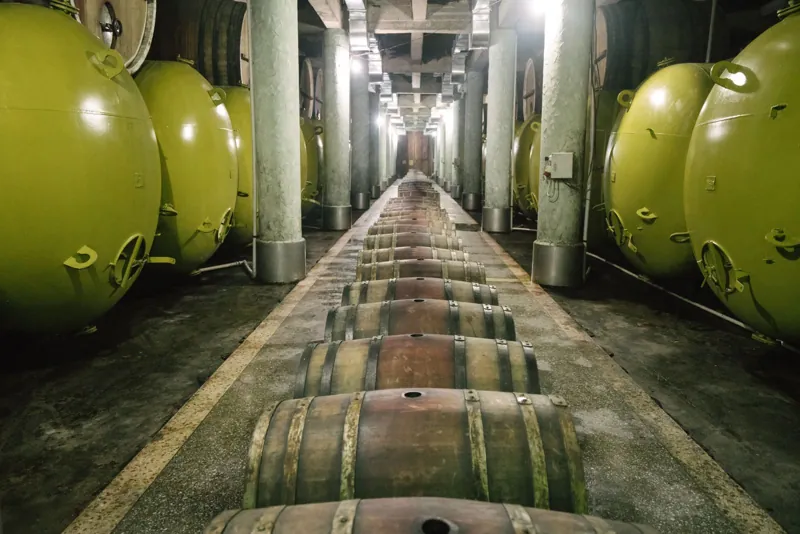 Nave de bodega con grandes depósitos de fermentación y barricas